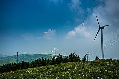 《潜行者2》新开发者日记 战斗和世界设定更多细节